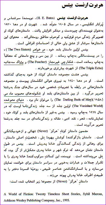 The 5th page of Never